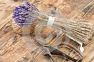 Lavender wooden table beside her scissors.