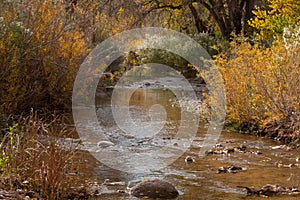 LaVerkin creek Utah, USA, with autumn foliage lining the banks