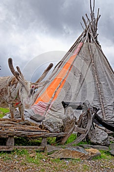 Lavvu - Sami tent in Nordkapp peninsula - Norway