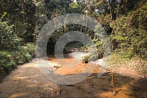 Lawacharra national park in Srimangal, Bangladesh