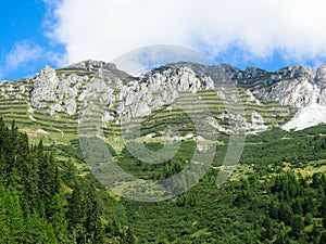 Lawin fences in the Alps