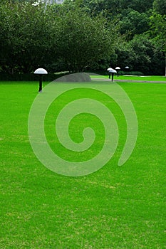A lawn