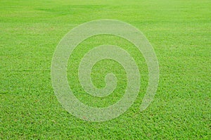 Lawn