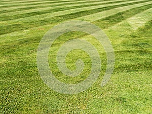 Lawn