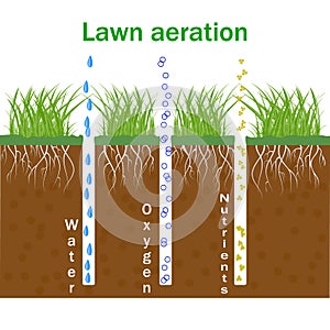 Lawn aeration. Concept of garden grass lawncare, landscaping, lawn grass care. Lawn aeration infographics.