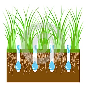 Lawn aeration for plant growth. Free access of water and air to soil. Lawn grass care, gardening and landscaping. Vector