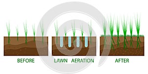 Lawn aeration process steps - before and after. Lawn aeration. Gardening grass lawncare, landscaping service photo