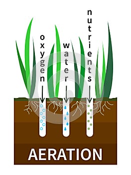 Lawn aeration process vector illustration. Concept of lawn grass care, gardening service, benefits of aeration. Water photo