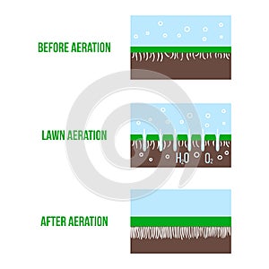 Lawn aeration stage illustration. Gardening grass lawncare, landscaping service. Vector isolated on white photo