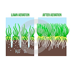 Lawn aeration stage illustration. Gardening grass lawncare, landscaping service. Vector isolated on white