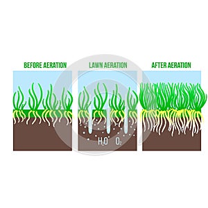 Lawn aeration stage illustration. Gardening grass lawncare, landscaping service. Vector isolated on white photo