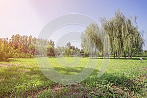 The lawn of Beijing Future Science City Waterfront Park