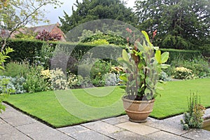 Lawn And Border At Tintinhull Gardens, Somerset, UK