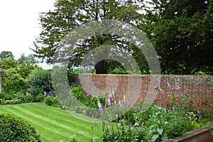 Lawn and Borders, Tintinhull Garden, Somerset, England, UK