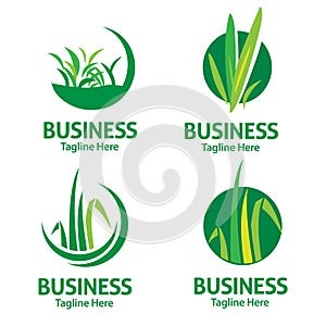 Lawn care logo