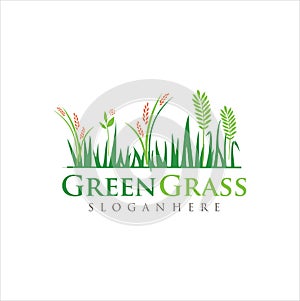 Lawn Care Logo . Turf Logo Template . Lawn Organic Nature Logo Design Icon . Grass Logo Design Vector Stock