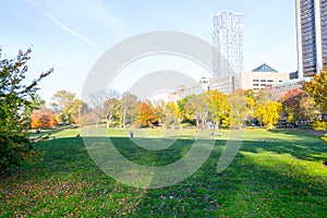 Lawn in Central Park by the Upper East Side in 100th street