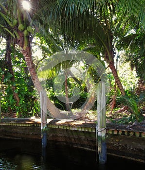 Lawn Chairs on Lush Tropical Riverside