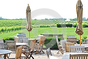 Lawn chairs by the vineyard