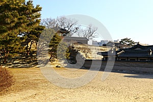 Lawn in changdeok Palace