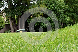 Lawn close up and robotic lawn mower