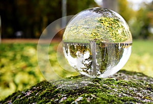 Lawn covered with yellow autumn leaves and a bare tree at the edge in the abstract misrepresentation of a glass ball on a stone photo