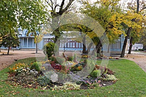 Lawn and decorative flower bed in Tsvetnik Park. Pyatigorsk, Russia