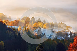 The lawn is enlightened by the sun rays. Majestic autumn rural landscape. Fantastic scenery with morning fog. Carpathians valley.