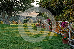 Lawn with flowers on fence