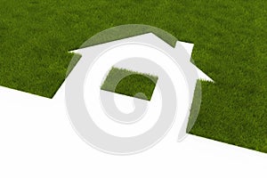 Lawn in the form of house