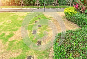 The lawn in front of the house is disturbed by pests and diseases causing damage to the green lawns.