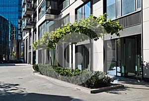 The lawn in front of a residential building