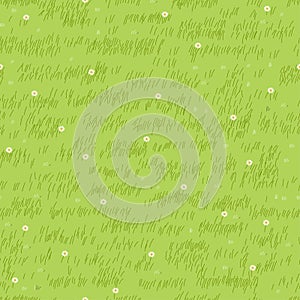 Lawn grass,daisy seamless background,Vector cartoon nature green exture,Cute white flower,meadow in spring field,Pattern summer