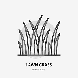 Lawn grass flat line icon. Vector thin sign of planting. Landscaping, meadow illustration