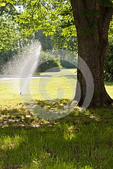 Lawn irrigation