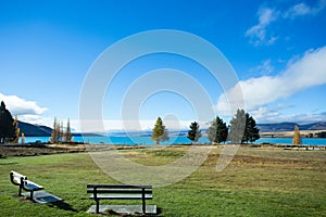 A Lawn At Lakeside Of The Lake Tekapo