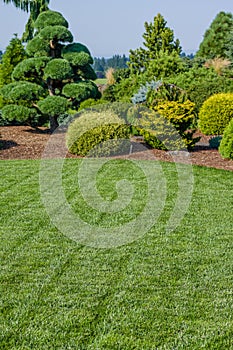 Lawn and landscaped garden