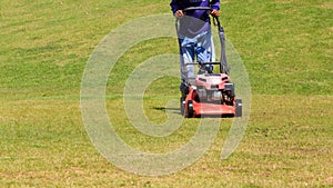 Lawn mover. Gardener mowing green lawn.