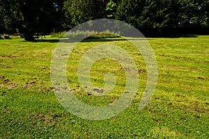 A lawn mowed by a robotic lawn mower without a grass catcher. Clumps of mown grass on the lawn