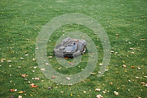 Lawn mower on background of trimmed green lawn