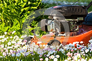 Lawn mower in blossoms