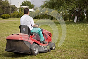 Lawn mower cutting grass