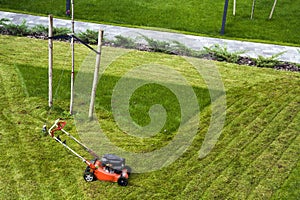Lawn mower cutting grass on green field in yard. Mowing gardener care work tool