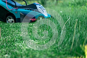 Lawn mower cutting green grass