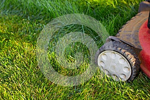 Lawn mower cutting green grass.