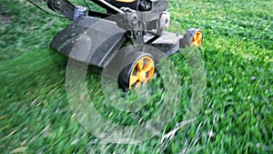 Lawn mower cutting green grass in backyard.