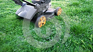 Lawn mower cutting green grass in backyard.