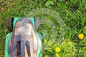 Lawn mower cutting green grass in backyard