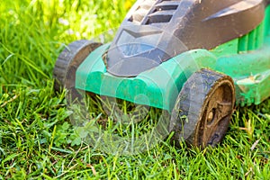 Lawn mower cutting green grass in backyard