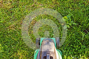 Lawn mower cutting green grass in backyard